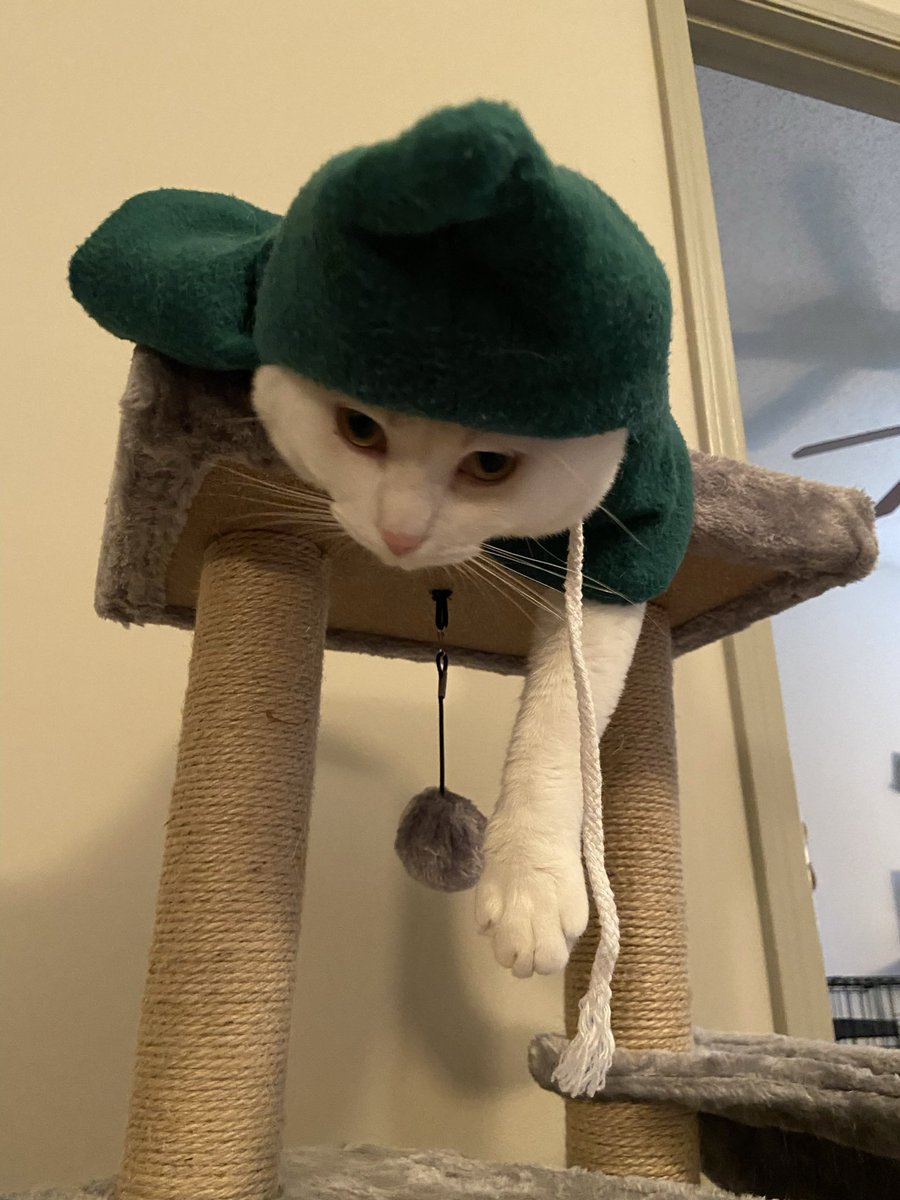 Edison_Cats's tweet photo. @YouTube Me https://t.co/wN7HBq4cLn