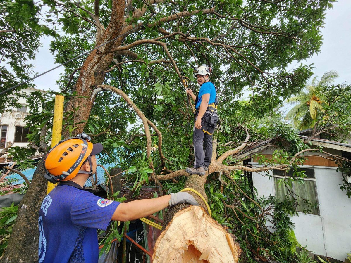 Daily Guardian on Twitter "LOOK Clearing operations underway on
