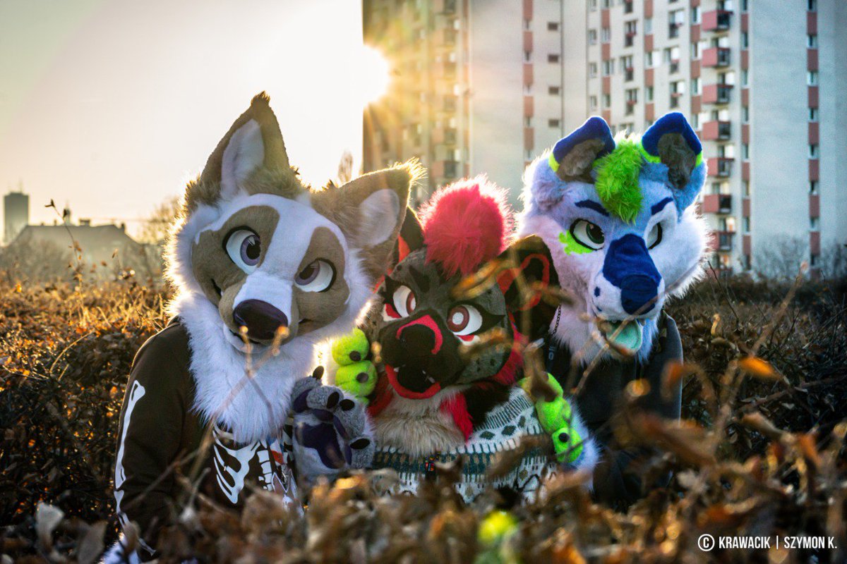 krawacikpanda's tweet photo. Full Post:  https://t.co/fbzlLYra0A

#furry #furrypoland #furryfandom #furrypolska #katowice #krawacikpanda #outing #fun #furryphotography #fursuit #meet https://t.co/NJZYcgOrMx