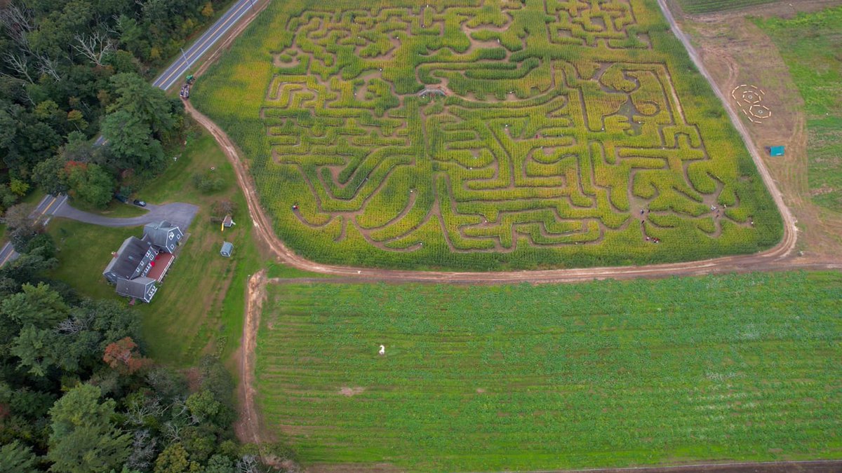 dronestock's tweet photo. Need views of cornfields from above? Download them from DroneStock https://t.co/csiVuTFIlH 

#Dronestock #freeaerialfootage #freedronevideos #freestockdroneimages #freestockvideo https://t.co/3Z4AoIu29J