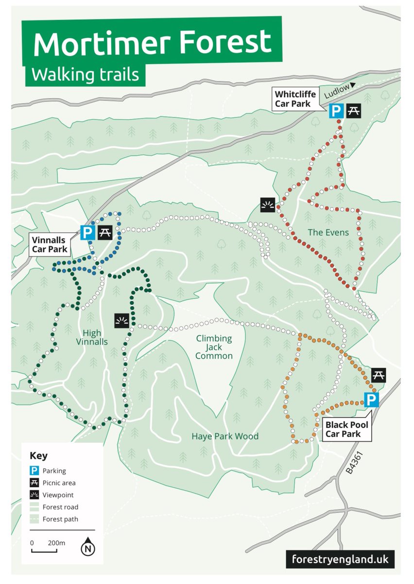What better way to start my month of #ChildsPlayActive than a 3 mile hike around #MortimerForest in Ludlow with my little ones!