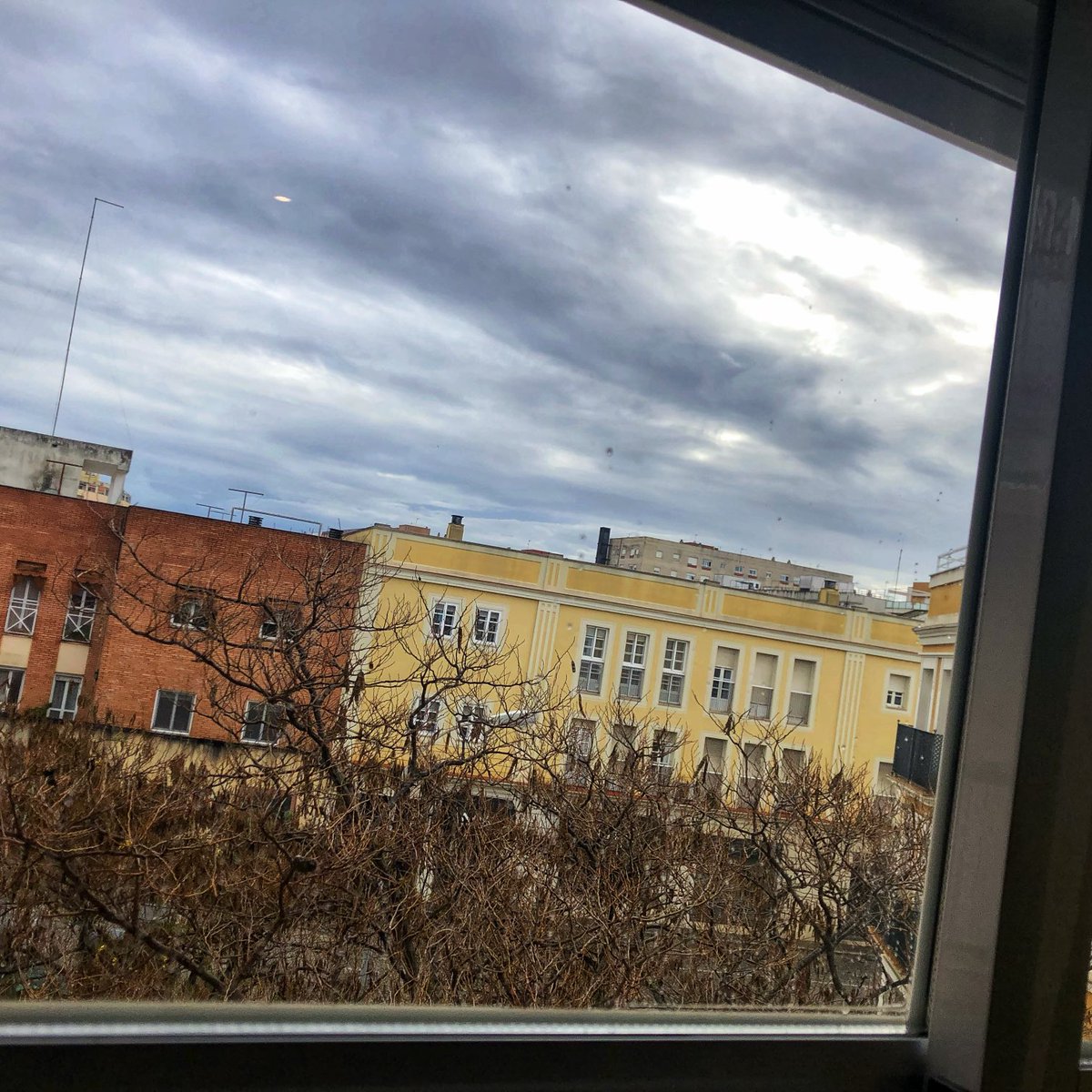 josealbrosado's tweet image. #2023winter #viewfromthewindow
