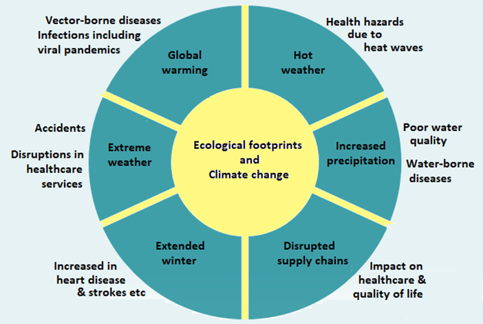 Vnikhra's tweet photo. Figure - Impact on health of climate change, from my latest published research, 'On the Pandemic Trail: Planning Post-Covid Outdoor and Indoor 
Healthcare', Annals of Immunology &amp; Immunotherapy Volume 5 Issue 1, published January 2, 2023. https://t.co/4IGTybRRB6