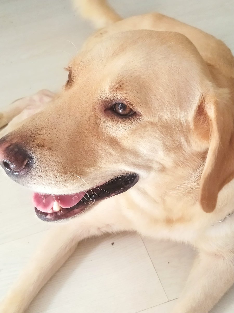 zorra❤️‍🔥 tweet media