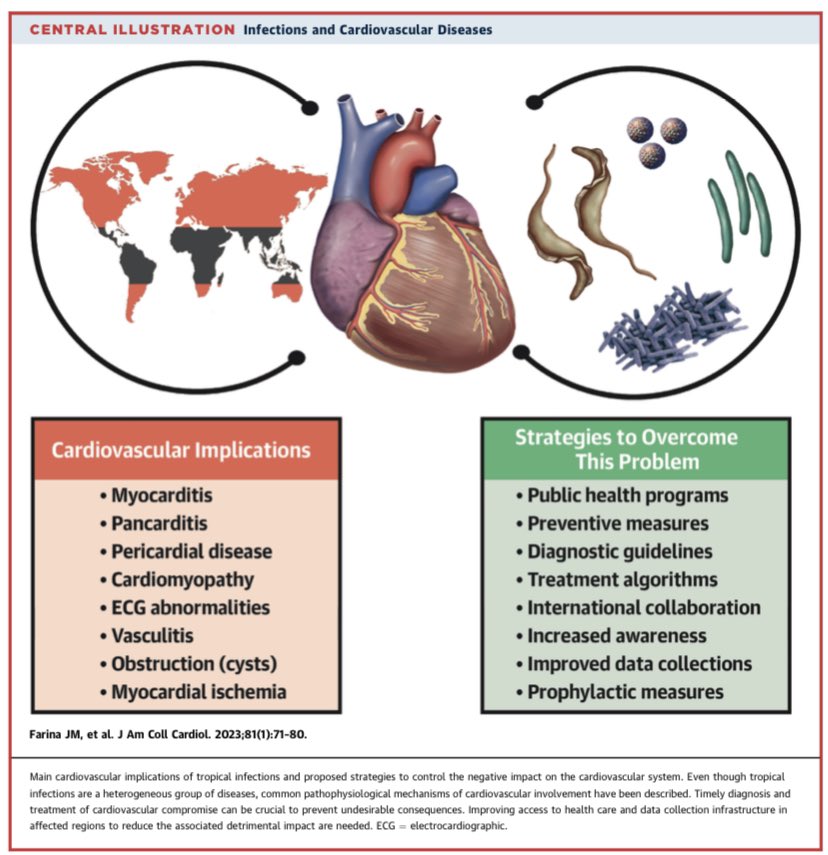 Great way to start the 2023 Infections and cardiovascular disease @JACCJournals Amazing job @JuanM_Farina @PabloIomini @liblikiera @clara_clarais @mencardio @EzequielZaidel @jomarubiocampal @asosaliprandi @adribaran Thanks for letting me work with you all jacc.org/doi/10.1016/j.…