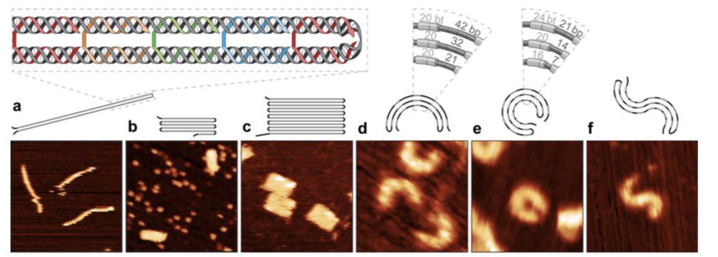 Yoel Ohayon tweet media