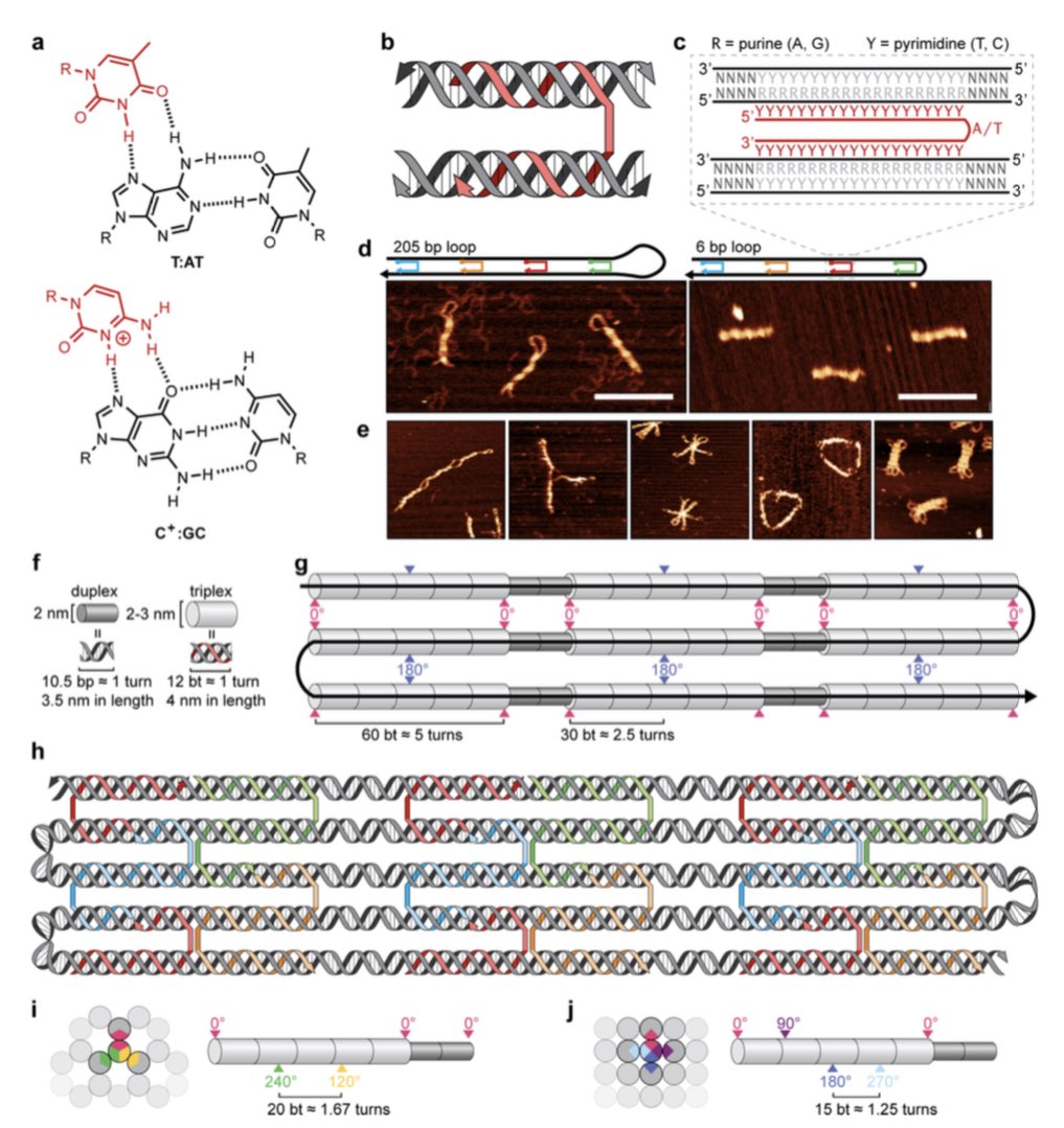 Yoel Ohayon tweet media