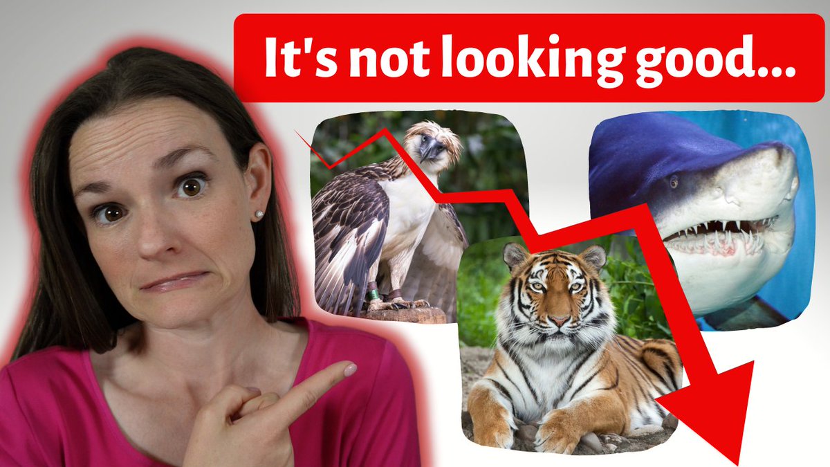 Top #predators are going extinct all over the world! But why are all these unique species facing the same crisis? Does it matter if top predators go extinct? Can we stop it? Find out in my latest video! #ecology #extinction #wildlife youtube.com/watch?v=pgTYoN…