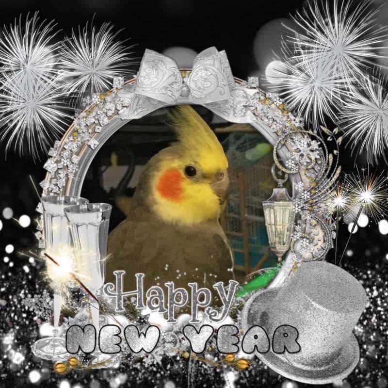 Happy New Year everybody 
Lotsa love from me and Mum ~~~~~~Chi Chi. ❤️❤️