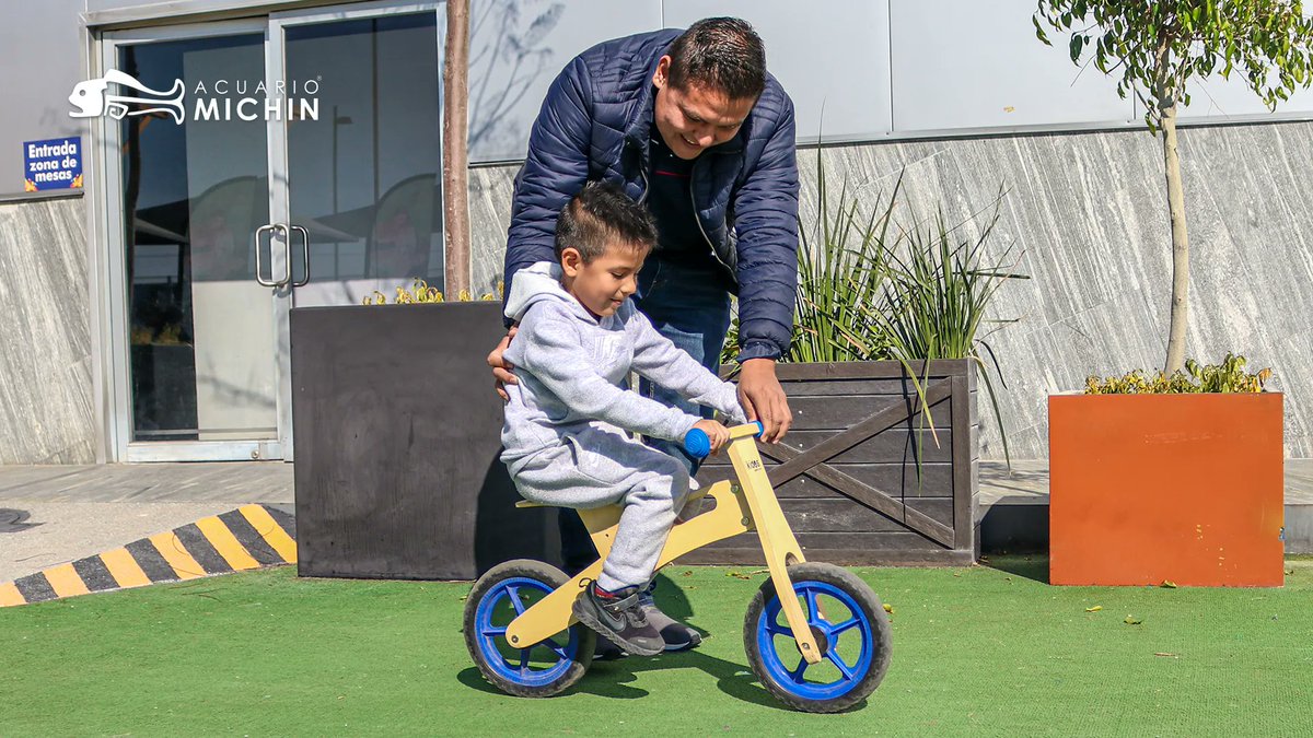 MichinPuebla's tweet photo. Inicia el año✨🗓️ con los mejores recuerdos✨🤩 y haz feliz a los más pequeños del hogar 👧🎉🧒 con esta increíble actividad ✅ en #bicicletas pequeñas🚲 ¡Les va a encantar👌🏼😍! Compra tus entradas aquí: 📍 https://t.co/JbOSWpdIAQ
#AcuarioMichin #Bici #Kidos https://t.co/nRrOAkX3xH