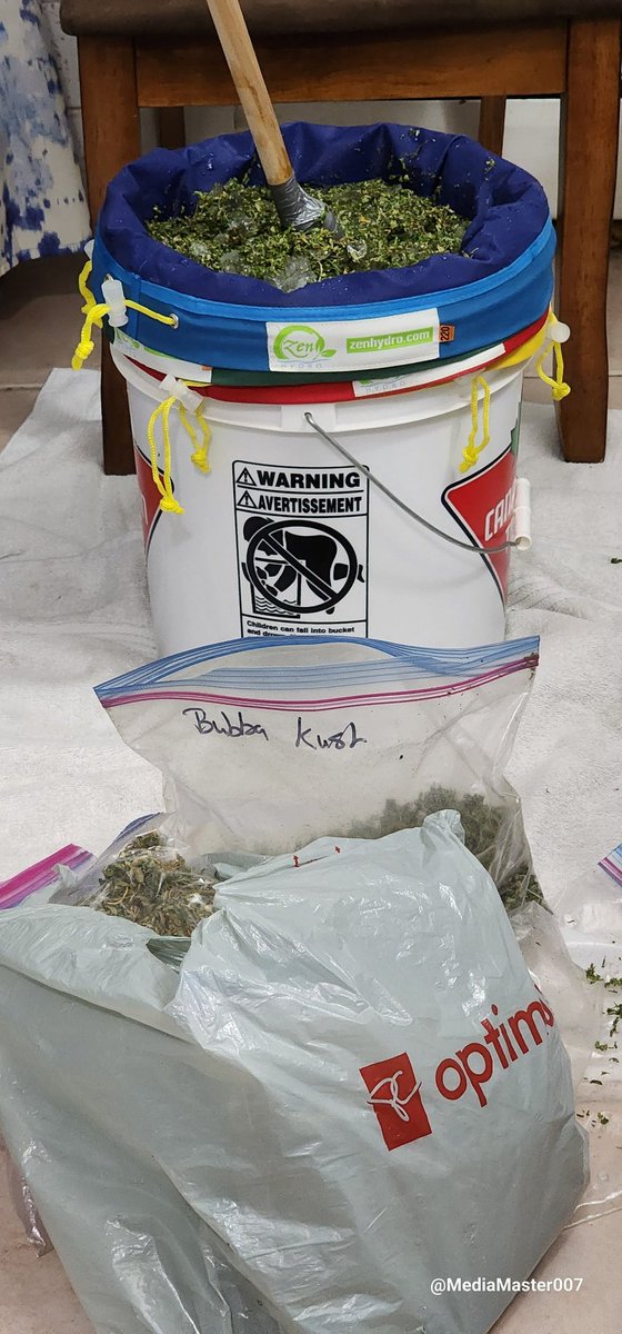 MediaMaster007's tweet photo. Today I start another epic journey when I take all last year's sugar leaf and make some bubble hash. 20 minutes of hand stirring to get some kickass hash. #oldschool , #ZenHydro , #growyourown https://t.co/ZUzLYa0ByS