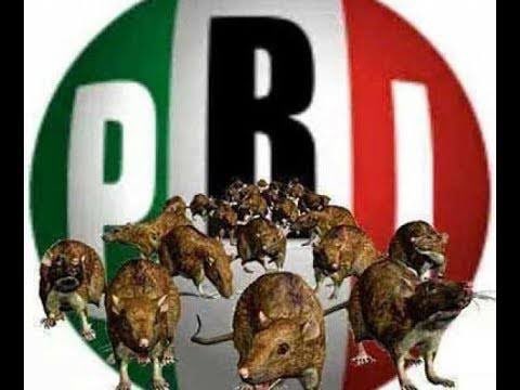 Lonche tweet media