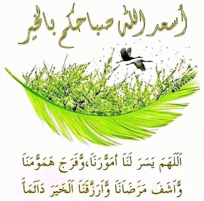 خطابة ام نورة (@xr5kojekphcohs) on Twitter photo 