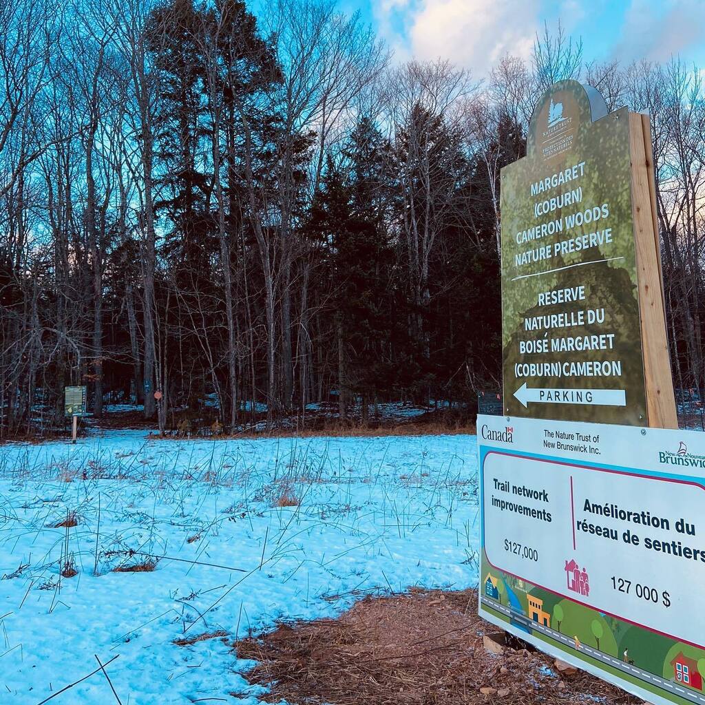 SandowFarm's tweet photo. There are so many excellent trails in our community and The Nature Trust of New Brunswick preserve is one of them. Check out the 16.3 acre Margaret (Coburn) Cameron Woods Nature Preserve on Kee Road if you haven’t already.
.
.
.

#tinyhomes #cabin #newbr… https://t.co/YNEWtfg7tg https://t.co/OpaUELlMJg