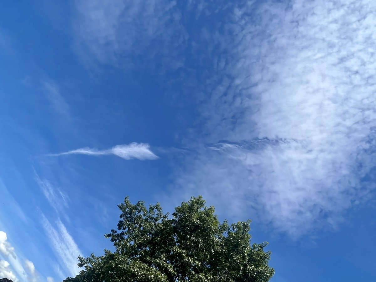 mtadam's tweet photo. Feather cloud from Wanaka #Cloud #Aotearoa #longwhitecloud https://t.co/C7xBitkhTb