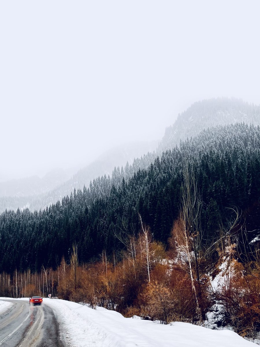 Crypt0Qeen's tweet photo. #Almaty #Kazakhstan ❄️❄️❄️😍😍😍 https://t.co/x19v79K5Rk