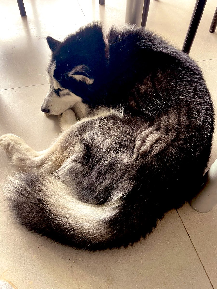 Empezando el año con el ♥️