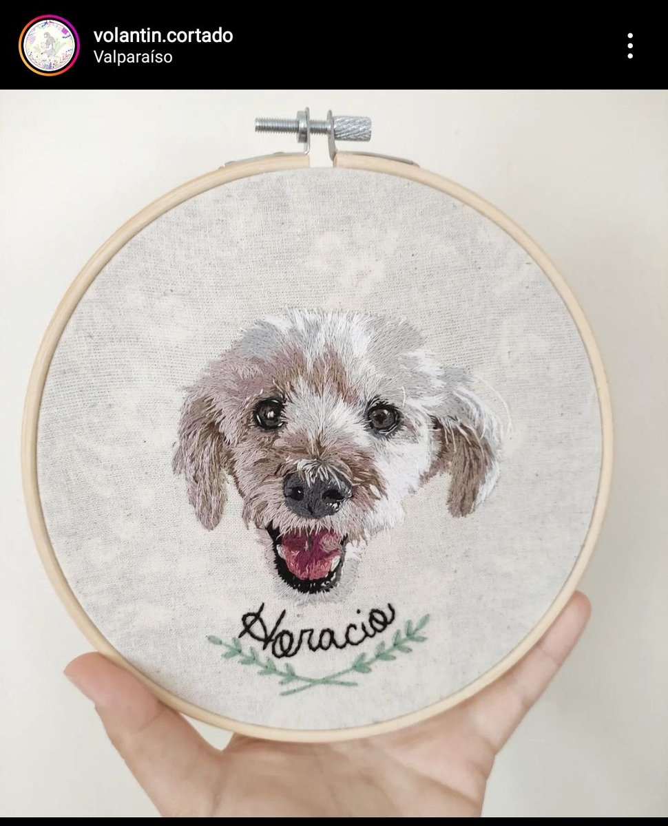 katiqrz's tweet photo. ¡Hola! ¿Me ayudan a difundir mi trabajo? Soy bordadora y, además de otras temáticas, bordo mascotas. Estas son algunas de las que he hecho. Vengo a mostrar mi trabajo (@ volantin.cortado en Instagram) y a pasar el aviso de que estoy tomando pedidos.

Eso, gracias 💖🥰 https://t.co/YIZvbOlAuA