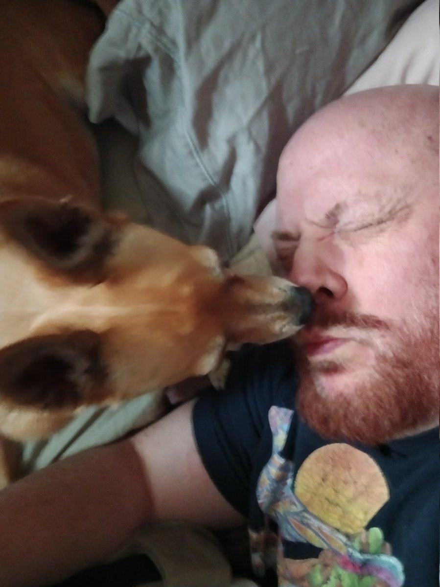 RealSharkyGreen's tweet image. I finally get a day of leave for R&amp;amp;R &amp;amp; get to pick up a shift of canine supervision. #StopLickingMyHead #OMG #GoingBackToWork #ForReal #CanIBringYourDogWithMe #SayHiToYourDogForMe #NotMyDog #SheIsMyDogNow #DogButler #SpoiledByTheButler #TheButlerDidIt #DogsOfTwitter #5starreview