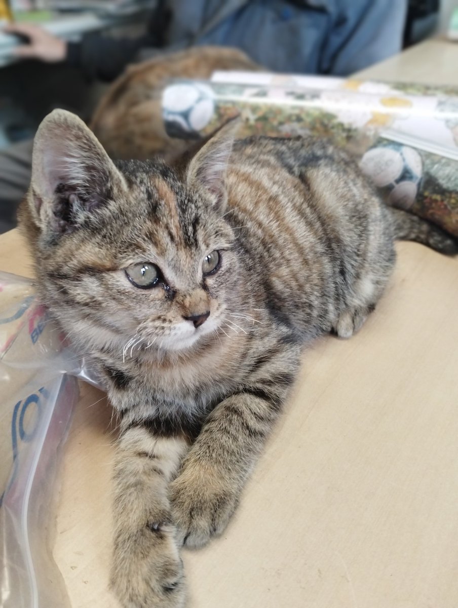 💫2023 💫
　　💫明けまして🌅🎍💫
　　　　　　おめでとうございます🙇‍♂

　💫支える💫　　ではなくッ…

　　　💫支え合える💫　自分かッ…

　💫今年も宜しくお願い致します💫

　　　　　　　💫🦋🌏🌈🐲💫😊🐈🐾