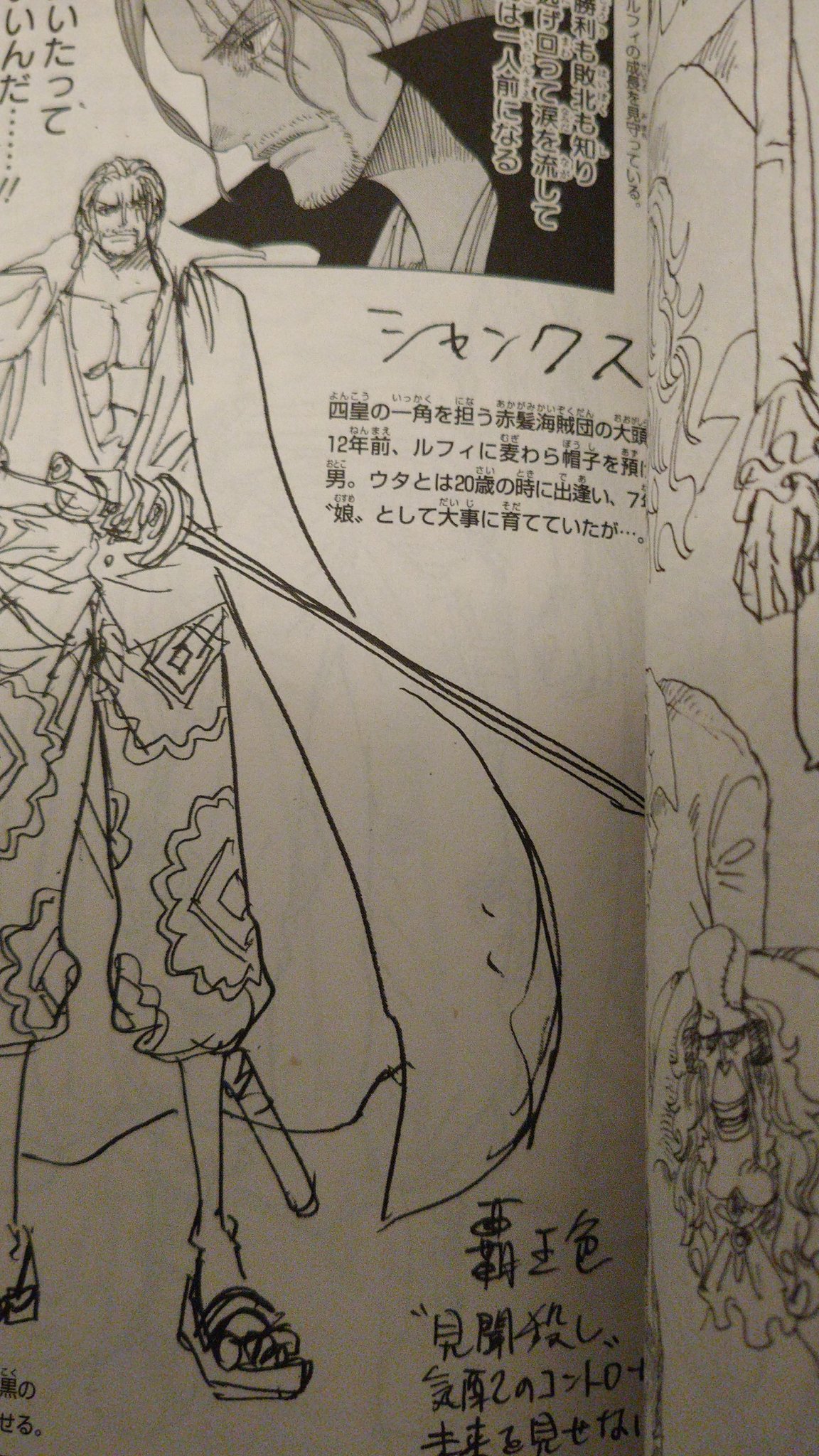 シャンクスベア　巻四十億 ONE PIECE FILM RED シャンクスべあ シャンクスベア テディベア
