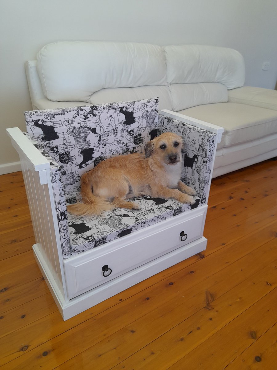 3DogsAust's tweet image. My very own Doggie Lounge/ Daybed.                       
 Just resting, waiting for Lunch!