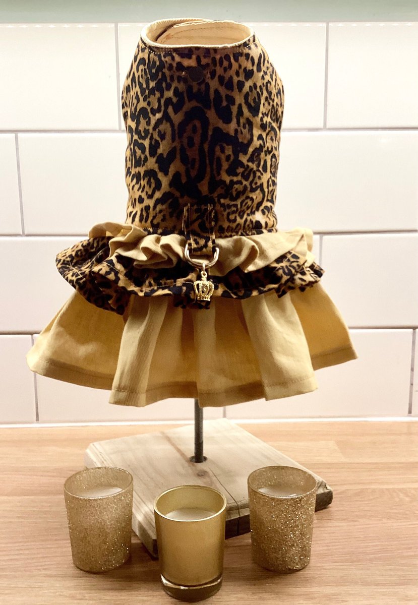 Fineequine1's tweet photo. Excited to share the latest addition to my #etsy shop: Dog dress harness clothing leopard print gold small dog cat https://t.co/RfBB2yqZSE #gold #brown #withlovebyeviebeavie https://t.co/skgCS608mn