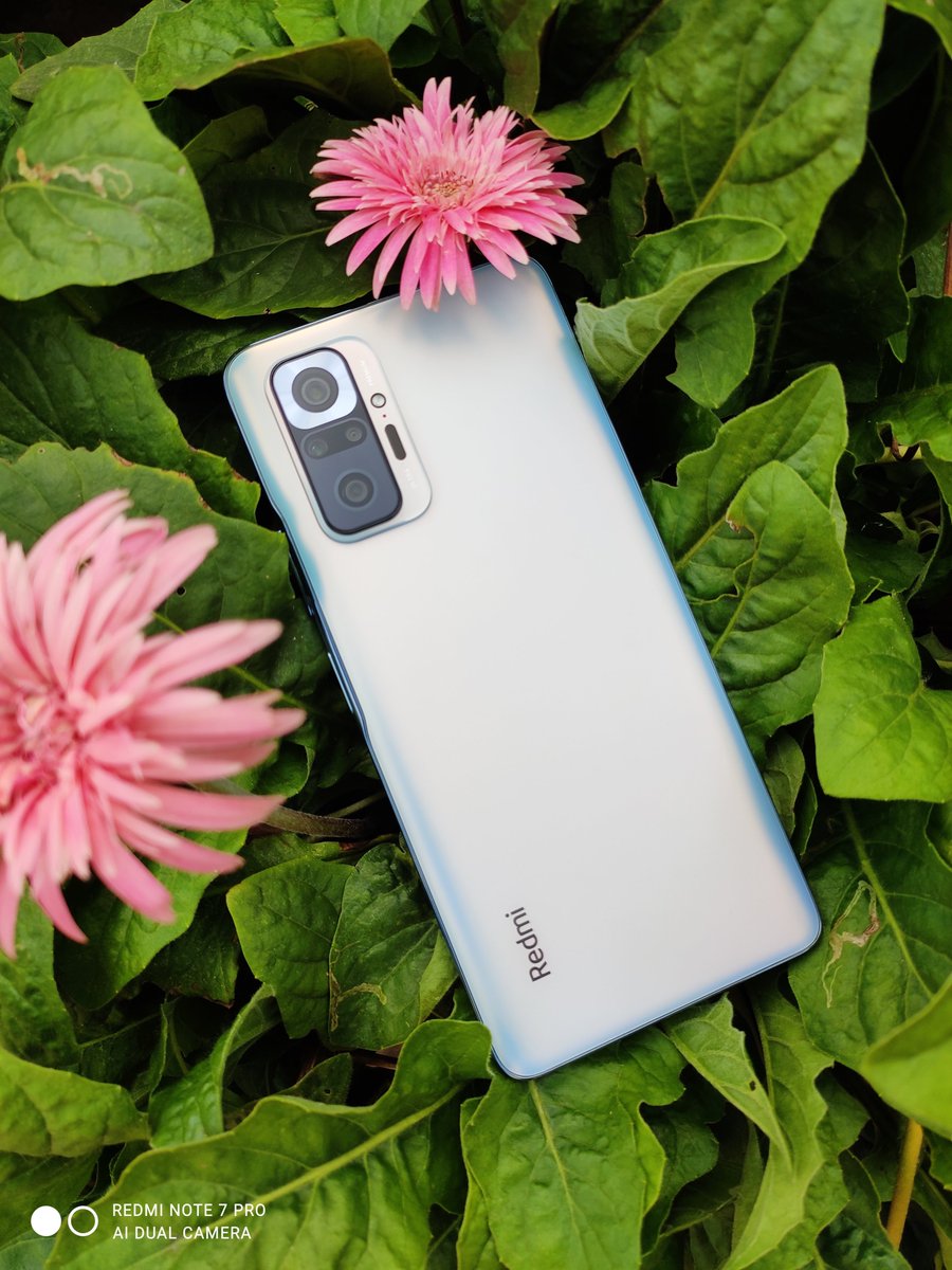 swadesh93's tweet image. Day 30 #30daysOfNote 5MP tele-macro camera on #RedmiNote10ProMax  does incredible job as it&apos;s produces high quality macro shots &amp;amp; videos on mid range Redmi Note Series
My Favourite Redmi Note 😍
#30DaysOfNote #Xiaomilnsider #MiFanIndia 
@XiaomiIndia @RedmiIndia
 @themakeavish