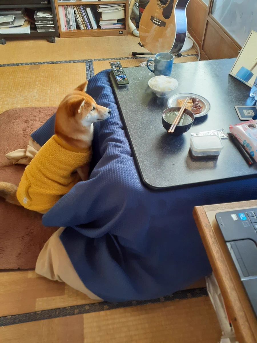 あれ、自分の席に先客が！？席を取られても、注意しにくい相手。