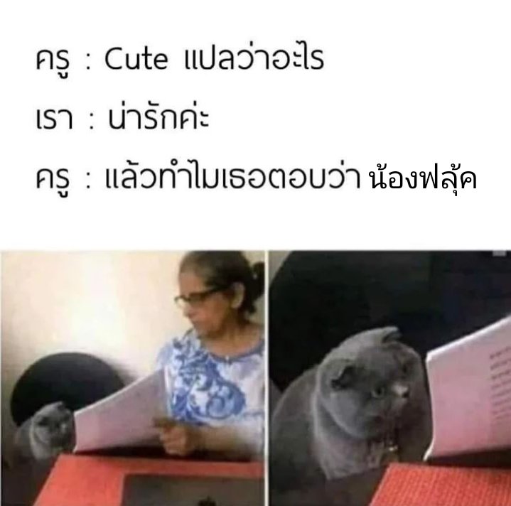 _ssalapao's tweet photo. เคยเล่นมุกนี้แล้ว แต่จะเล่นอีก เพราะน้องฟลุ้คน่ารัก https://t.co/jbkQDO1Dbh