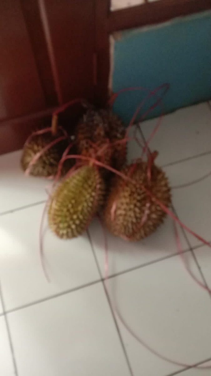 Waktu panen tiba 💫