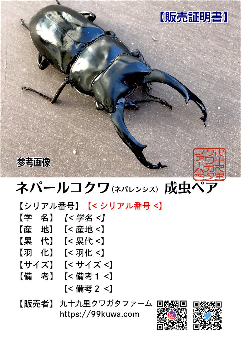 九十九里クワガタファーム on X