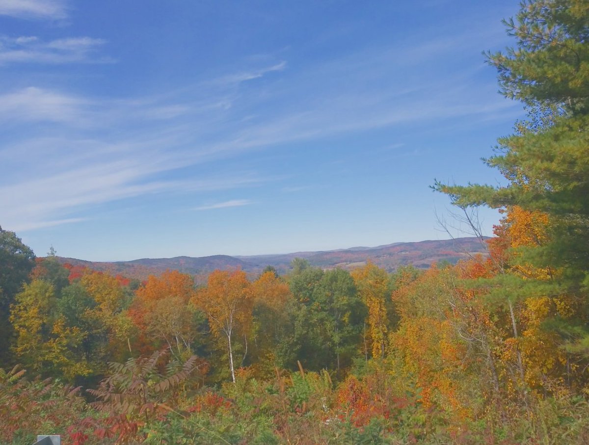 thorsman64's tweet photo. @AnnieForTruth From the Adirondacks 4 years ago... https://t.co/75HMs6HCyL
