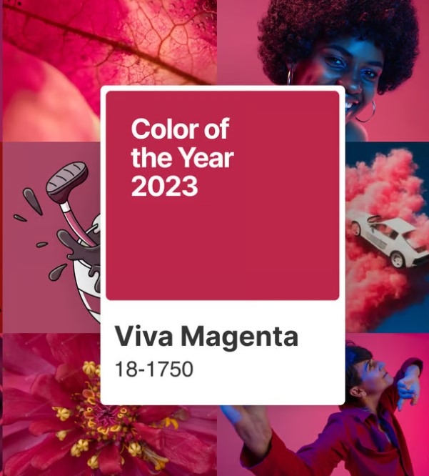 SASquared_arch's tweet image. We are great proponents of fuchsia and are overjoyed that pantone announced thier colour of the year for 2023 - Viva Magenta. 
nyti.ms/3QbPkgg