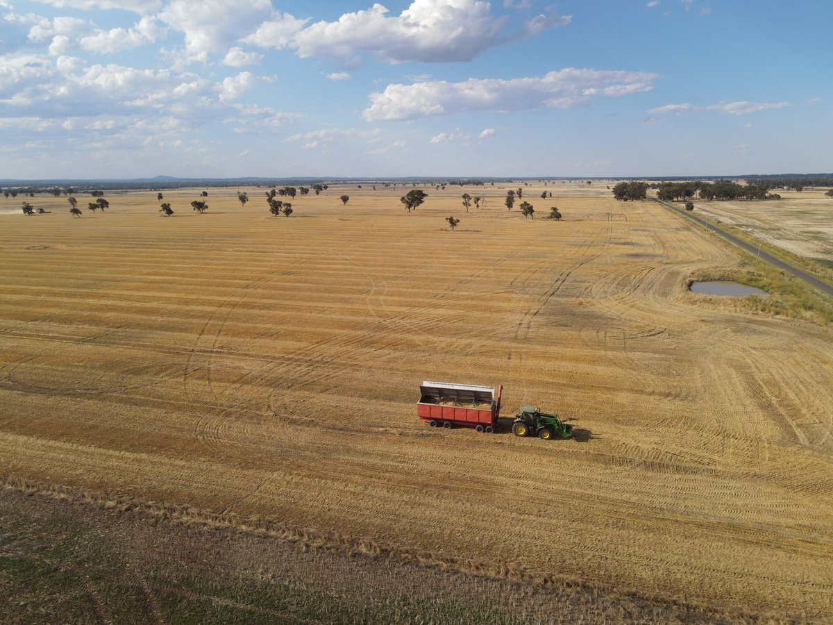Tractor & wheat bin. And my bird 40 metres up. #aerialphotos #farming