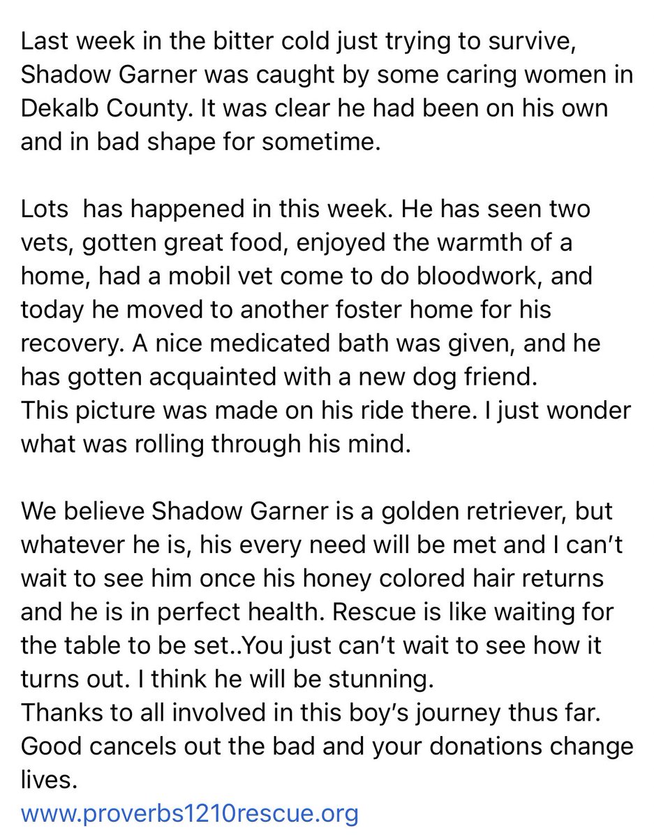 TNProverbs1210's tweet photo. VGB Shadow Garner’s story in pics. Your donations at work. Fosters change the world. #ProverbsNation https://t.co/hbKYulu4Np