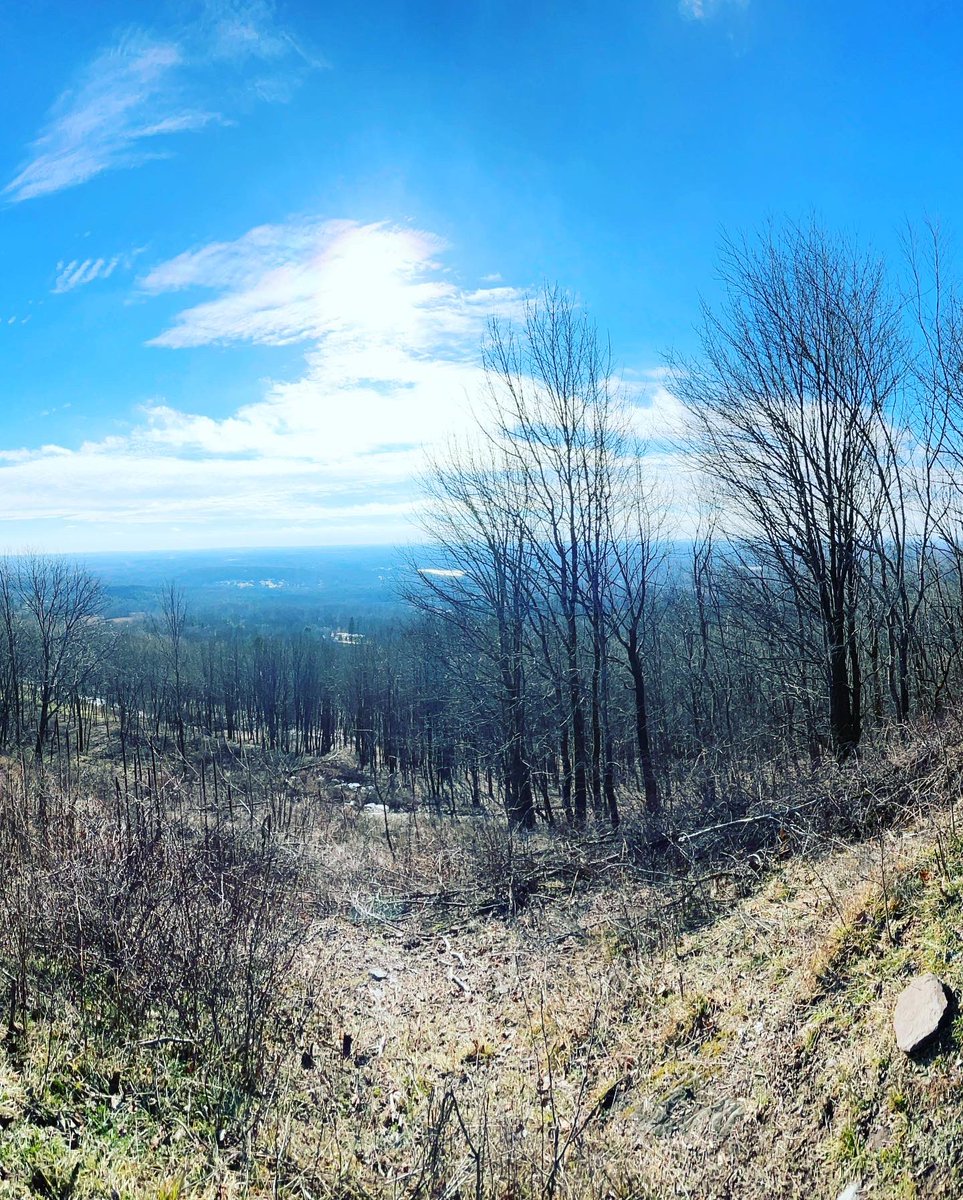 PaulaWrites678's tweet photo. 2/2: 
1.What do I want to leave in the prior year? 
2.What do I want to bring into the new year? 
3. What is the race I am called to for this year?

These might be questions you want to ask yourself. Also, if you’ve ever considered a solo getaway: Do it. 🙌 https://t.co/q3yt5Bevga