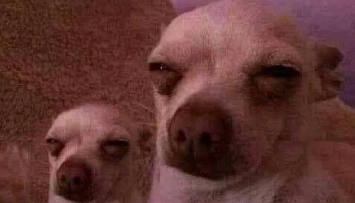 ياسمين عز : خلي عنيكي شتوية وسهتانة وانت بتكلميه