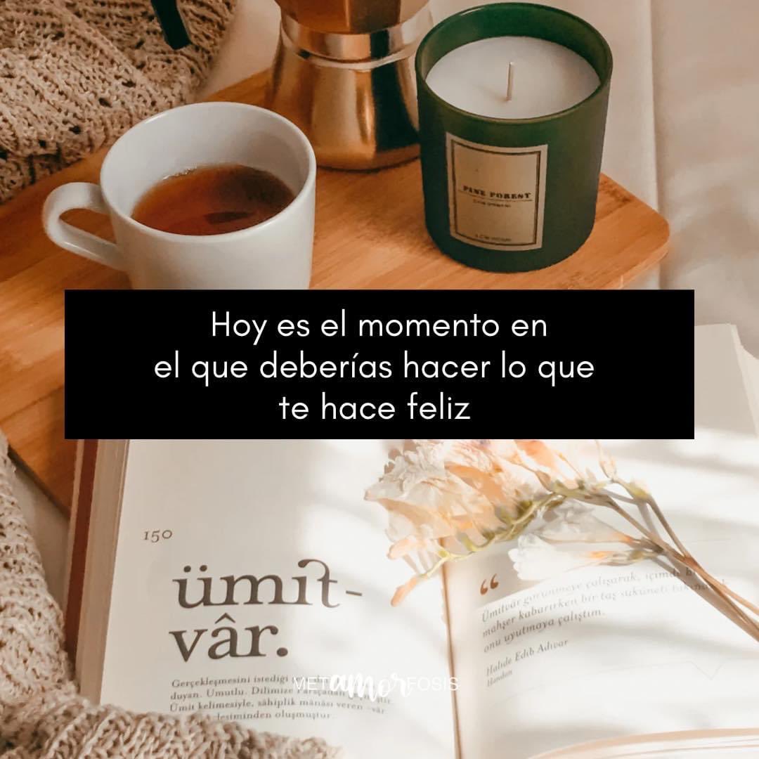 Marcelahabibi's tweet photo. https://t.co/UraxaGHycH