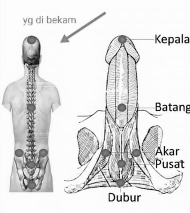 RudiyanaAbie's tweet photo. Bismillaah....
Membahas kembali, masih tetap khawatir ini tidak sopan &amp; pesannya belum tentu "sampai".
Izin menyampaikan salahsatu ikhtiar kesehatan.
U/ kaum adam, para suami/persiapan jelang menjadi suami, titik Bekam vitalitas pria.
Semoga bermanfaat &amp; sama2 dimudahkan.
@axdwin https://t.co/Kpsb1k2r50