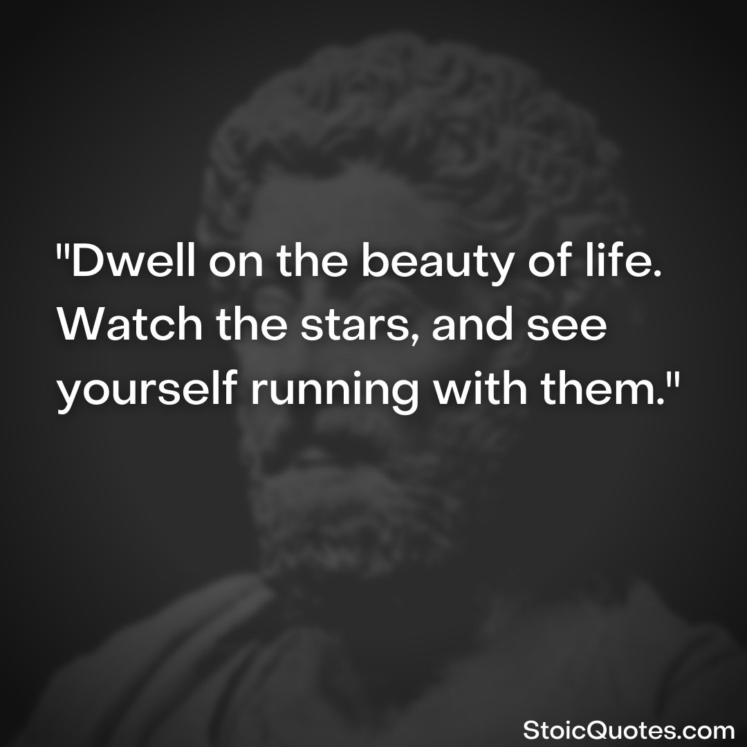 Stoic Quotes tweet media