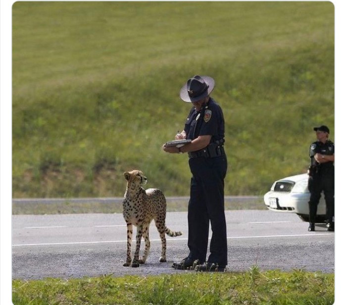 Lacey London tweet media