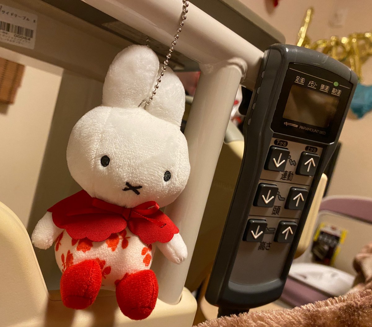 今日は朝イチでトマトを食べることができました🍅
冷えたトマトはとても美味しい😋

1人じゃ何もできなくなっちゃったし、常に気分悪いし、ベッド上で少し動いただけで心臓バクバク。

痛いし辛くて苦しいけど、みなさんの励ましのおかげで前を向けます。ありがとう😊

今年は卯年🐰
ミッフィーの年♪