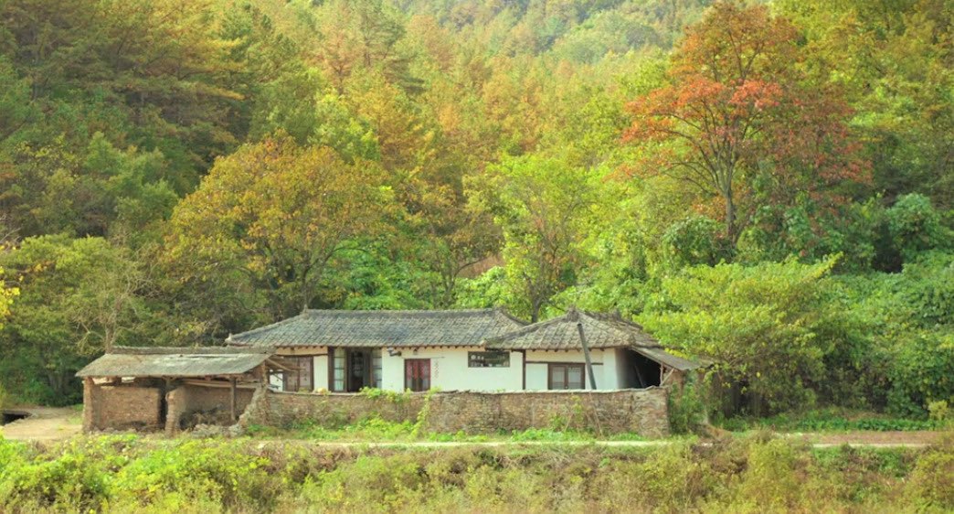 hellooogigiii's tweet photo. Little Forest (2018) https://t.co/9L2A5m9zDJ