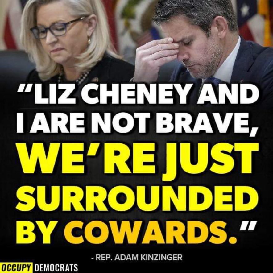 Liz Cheney and Adam Kinzinger were persecuted by former President Donald Trump and the RNC, for refusing to accept and repeat Trump's election lies. The rest of the Republicans in Congress are cowards.
