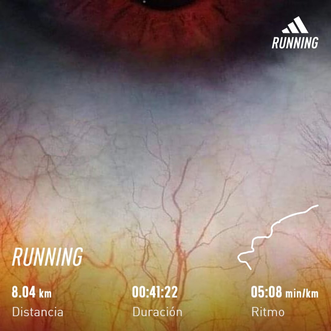 David4EveRunner's tweet image. Preocupate por tu conciencia más que por tu reputación.
Tu conciencia es lo que eres. Tu reputación es lo que otros piensan de ti. Y lo que los otros piensan de ti...
No es tu problema.
#CharlesChaplin 🎭
#HumanEyePic 👁️
#Reto2023Kms
@templorunner
#1stRace🏁
#4EverRunner 🏃🏽‍♂️🔥🔥🔥