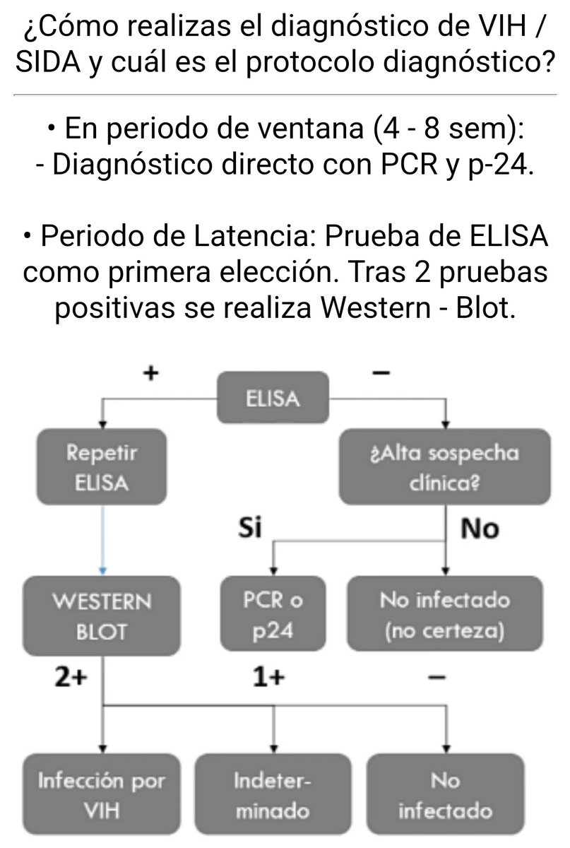 EnarmFlash's tweet image. ⚡️ Protocolo diagnóstico de VIH.
#ENARM2023 #ENARM #MedTwitter