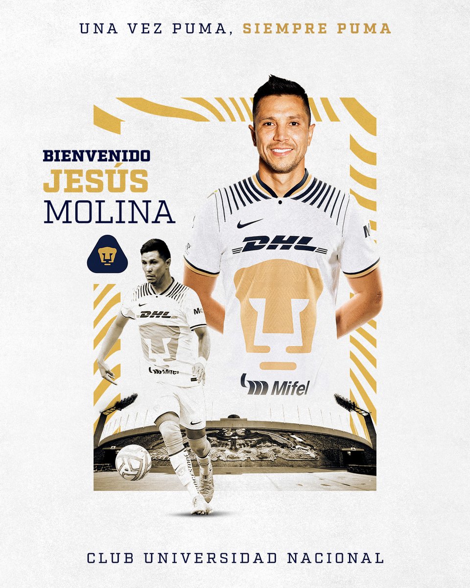 PumasMX's tweet photo. Estos colores se defienden con mucha garra y pasión. Bienvenido al azul y oro. 🙌

#SoyDePumas #OrigenDeLaPasión https://t.co/bYn6wlXfZL