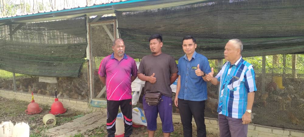 ppk_knerang's tweet photo. Lawatan ke Projek Ternakan Ayam Kampung Kacuk usawahan bimbingan PPK di Kg. Tanjung. Kapasiti ternakan terkini 3,200 ekor dengan purata berat 1.5Kg/ekor. Usahawan yang sangat gigih dan konsisten dalam mengusahakan ternakan menyumbang kepada keterjaminan bekalan ayam.
#LPP50TAHUN https://t.co/HTvviH5pds