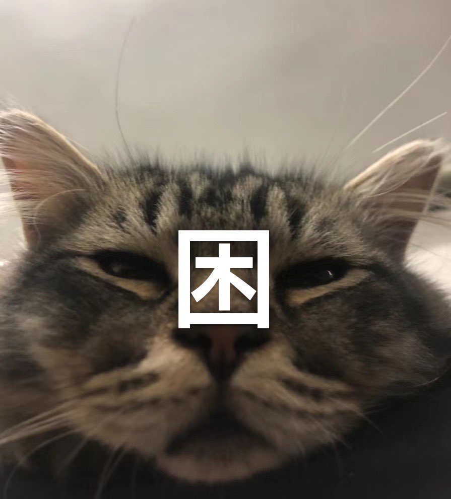 GDwan10's tweet photo. 无聊嘎嘎 https://t.co/Piqs1unoCH